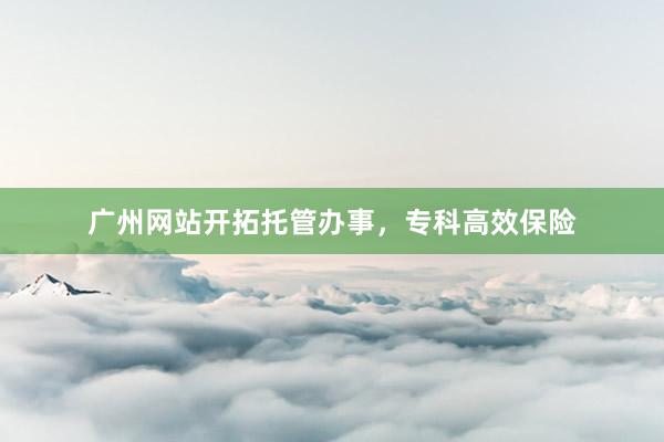 广州网站开拓托管办事，专科高效保险