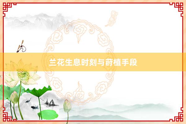 兰花生息时刻与莳植手段