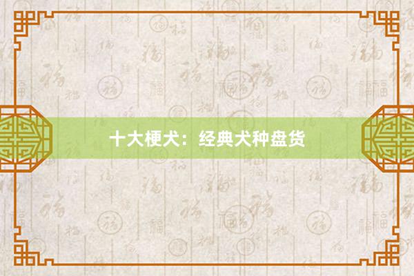 十大梗犬：经典犬种盘货