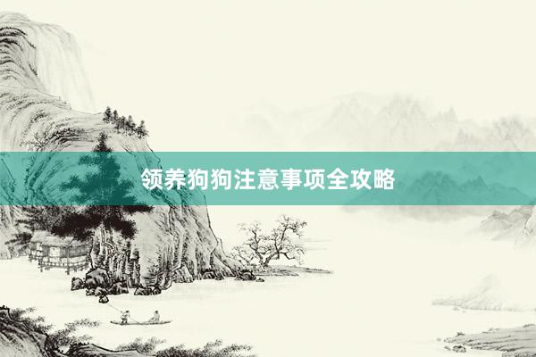 领养狗狗注意事项全攻略