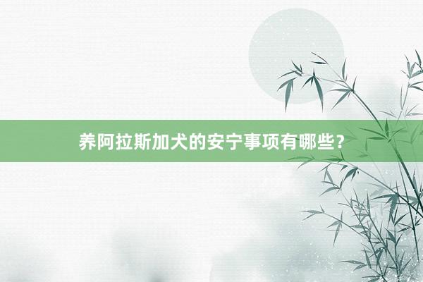 养阿拉斯加犬的安宁事项有哪些？